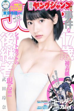 但愿人长久