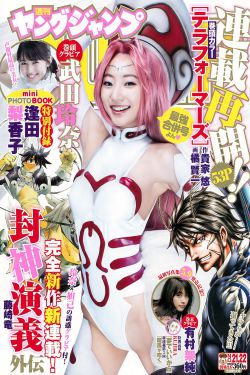 叶落长安电视剧