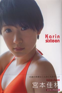 野鸭子电视剧